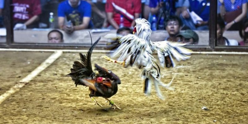 33win04 ﻿đăng nhập lô đề uy tín