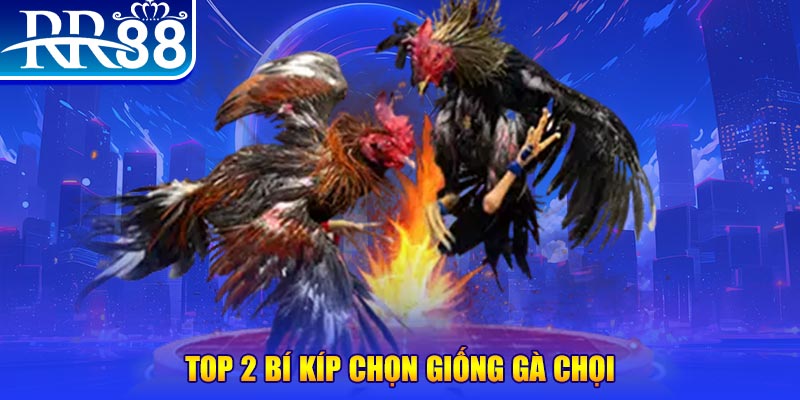 33win04 bắn cá h5