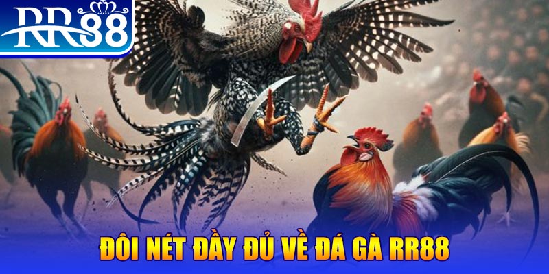 33win04 gà chọi hoà phong
