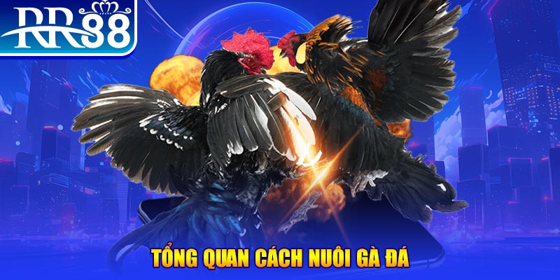 33win04 xổ số thứ ba