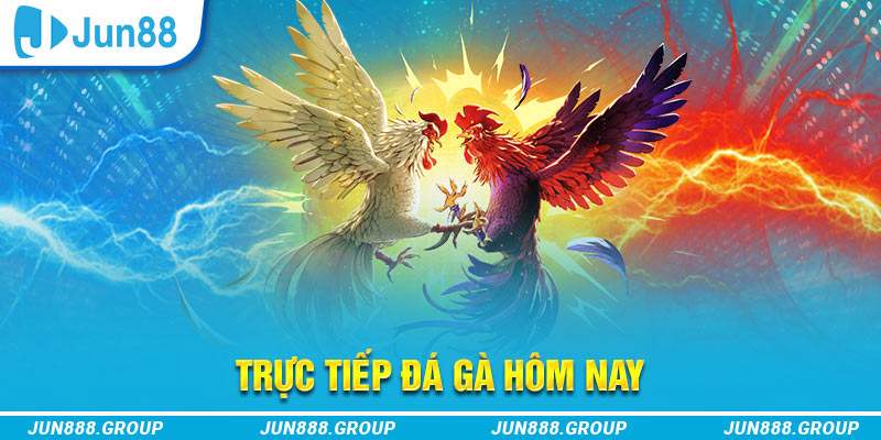 33win04 trực tiếp đá gà thomo
