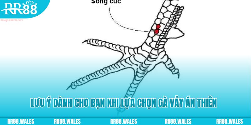 33win04 xổ số khánh hòa