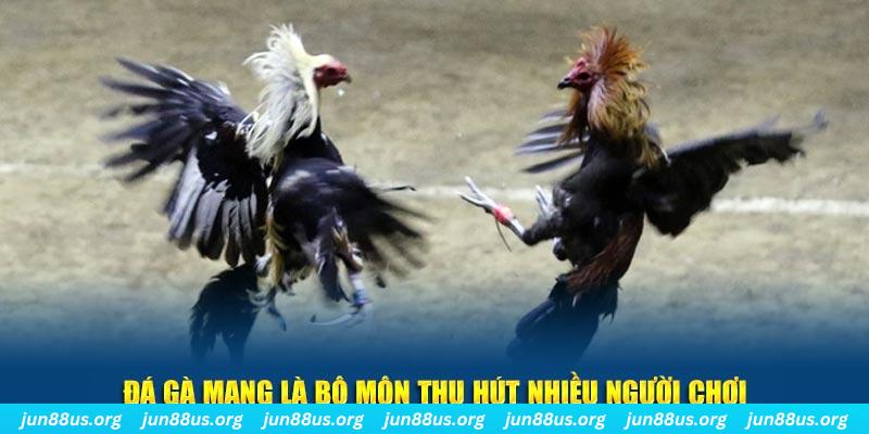 33win04 xổ số long an