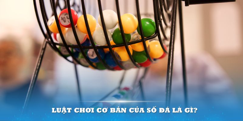 33win04 Đĩa màu ace