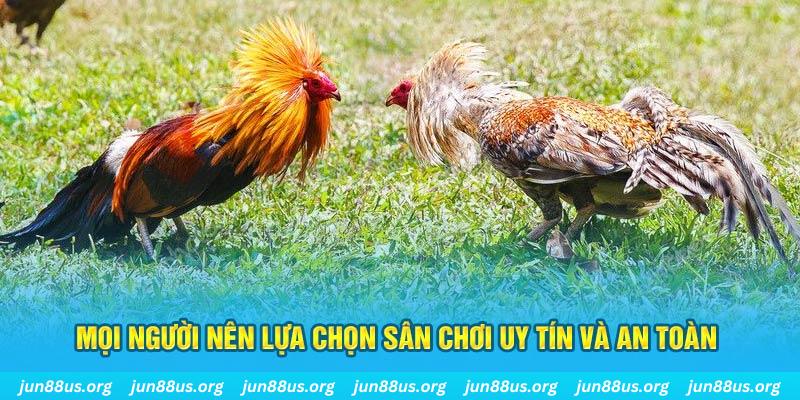 33win04 Tài Xỉu