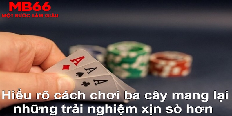 33win04 DB Trực Tuyến