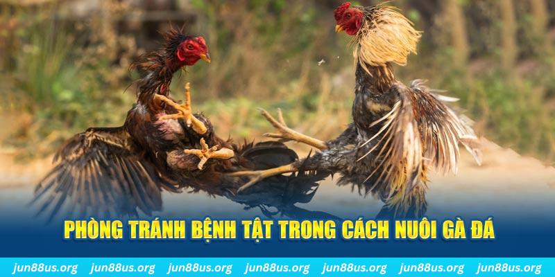 33win04 natural” trong baccarat nghĩa là gì？