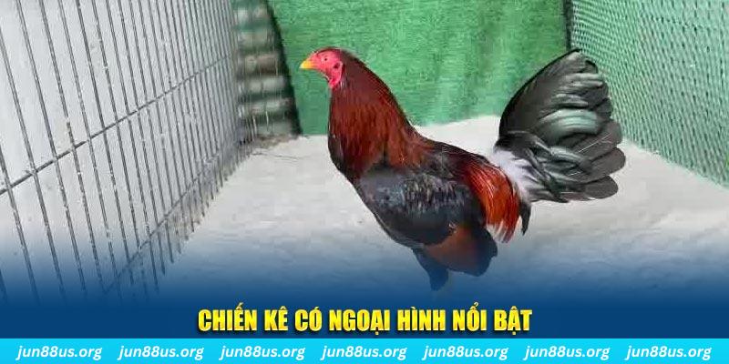 33win04 nhạc slot là gì