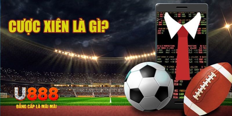 33win04 đá gà thomo hôm nay